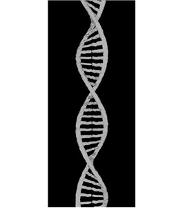 Glasschiebetür SLIM-LINE "DNA" Gelasert Auf Grauglas