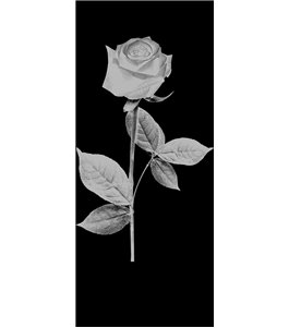 Glasschiebetür PIPE-LINE Rose I Gelasert Auf Klarglas