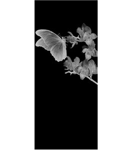Glasschiebetür PIPE-LINE Butterfly Gelasert Auf Grauglas