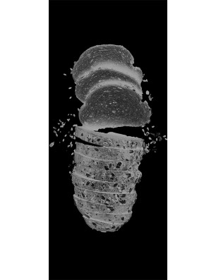 Lichtausschnitt Brotzeit Gelasert Auf Klarglas