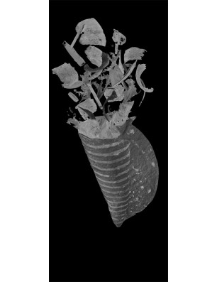 Lichtausschnitt foodtruck Gelasert Auf Klarglas