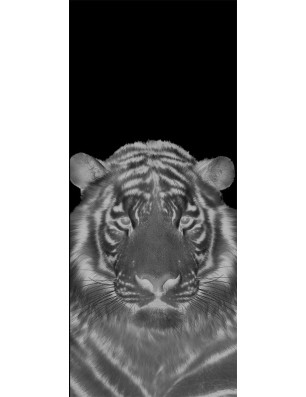 Lichtausschnitt Tigerkopf Gelasert Auf Klarglas