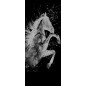Lichtausschnitt flying Horse Gelasert Auf Klarglas Lichtausschnitt flying Horse Gelasert Auf Klarglas