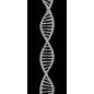 Lichtausschnitt "DNA" Gelasert Auf Klarglas Lichtausschnitt "DNA" Gelasert Auf Klarglas