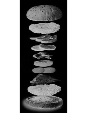 Lichtausschnitt Burger Gelasert Auf Klarglas