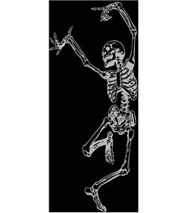 Lichtausschnitt Skelett Gelasert Auf Klarglas