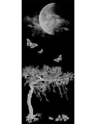 Lichtausschnitt Night Gelasert Auf Klarglas