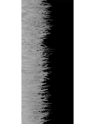 Lichtausschnitt Wiese Gelasert Auf Klarglas