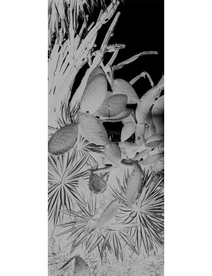 Lichtausschnitt Kaktusblüten Gelasert Auf Klarglas