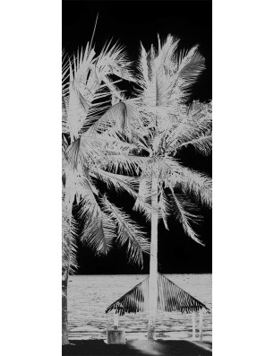 Lichtausschnitt Palmen II Gelasert Auf Klarglas