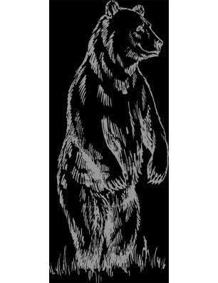 Lichtausschnitt Bär Gelasert Auf Grauglas