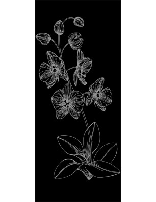 Lichtausschnitt Blume 9 Gelasert Auf Grauglas