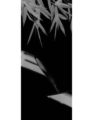 Lichtausschnitt Wellness 3 Gelasert Auf Grauglas