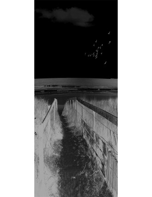 Lichtausschnitt Steg III Gelasert Auf Grauglas