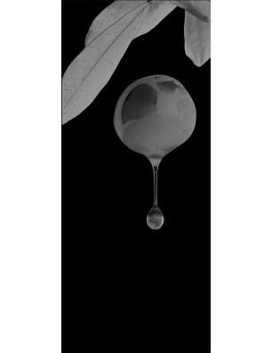 Lichtausschnitt Olive Gelasert Auf Grauglas