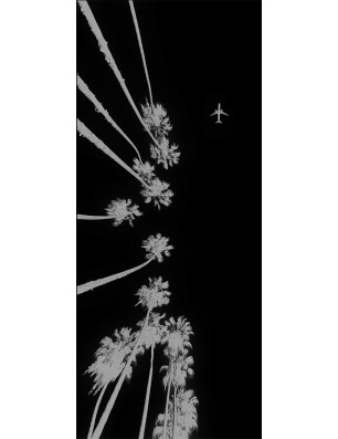 Lichtausschnitt California Gelasert Auf Grauglas