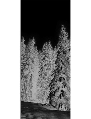 Lichtausschnitt Winterwald Gelasert Auf Grauglas