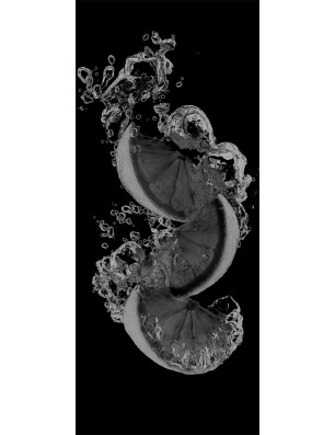 Lichtausschnitt Fruits 5 Gelasert Auf Grauglas