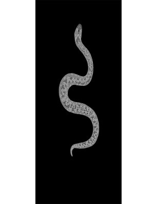 Lichtausschnitt Snake Gelasert Auf Grauglas