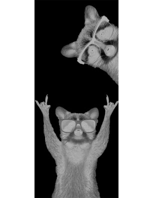 Lichtausschnitt Waschbären Gelasert Auf Grauglas