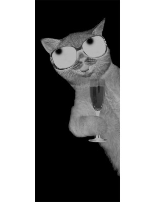 Lichtausschnitt Drinking Cat Gelasert Auf Grauglas