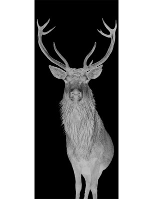 Lichtausschnitt Widder Gelasert Auf Grauglas