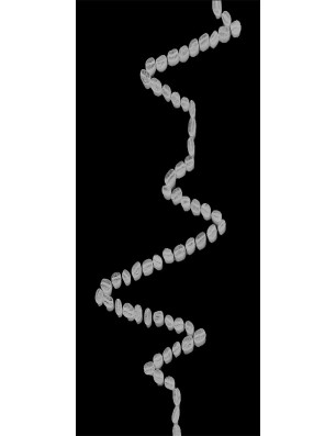 Lichtausschnitt Kaffeebohnen  Gelasert Auf Grauglas