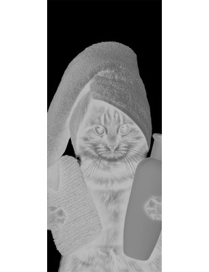 Lichtausschnitt Ready Gelasert Auf Grauglas