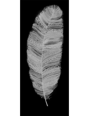 Lichtausschnitt Feder Gelasert Auf Grauglas