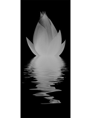 Lichtausschnitt Lotus Gelasert Auf Grauglas