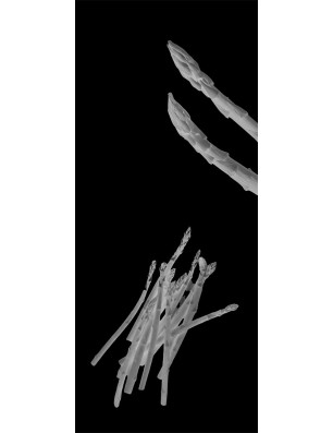 Lichtausschnitt Spargel Gelasert Auf Grauglas