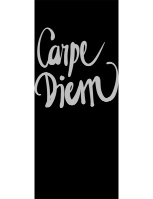 Lichtausschnitt Carpe Diem Gelasert Auf Grauglas