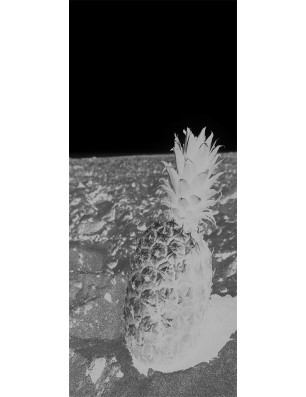 Lichtausschnitt Ananas Gelasert Auf Grauglas