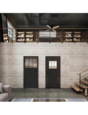 Ganzglastür Loft Schwarzlack 29 Auf Klarglas