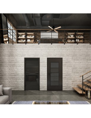 Ganzglastür Loft Schwarzlack 01 Auf Grauglas