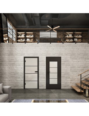 Ganzglastür Loft Schwarzlack 02 Blickdicht-modernes Zuhause