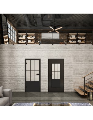 Ganzglastür Loft Schwarzlack 03 Blickdicht-modernes Zuhause