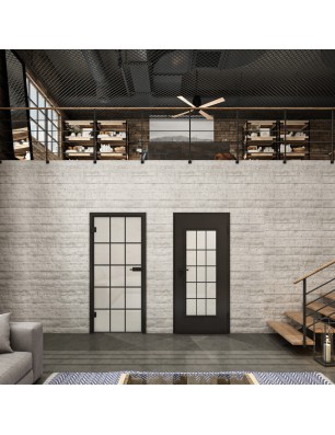 Ganzglastür Loft Schwarzlack 09 Blickdicht-modernes Zuhause