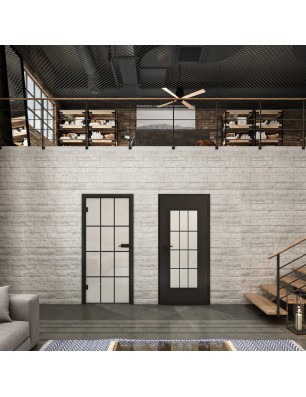 Ganzglastür Loft Schwarzlack 10 Blickdicht-modernes Zuhause