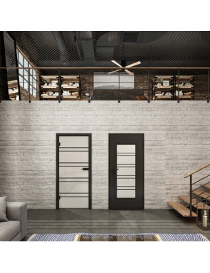 Ganzglastür Loft Schwarzlack 16 Blickdicht-modernes Zuhause