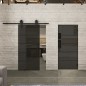 Pendeltür Loft Schwarzlack 01 Auf Grauglas