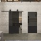 Pendeltür Loft Schwarzlack 33 Auf Grauglas Pendeltür Loft Schwarzlack 33 Auf Grauglas