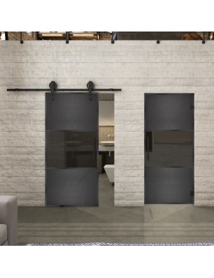 Pendeltür Loft Schwarzeisen Genietet 27 Auf Grauglas