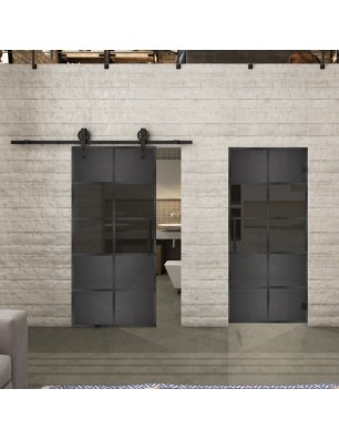 Pendeltür Loft Schwarzeisen Genietet 28 Auf Grauglas