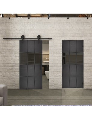 Pendeltür Loft Schwarzeisen Genietet 32 Auf Grauglas