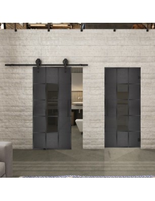 Pendeltür Loft Schwarzeisen Genietet 34 Auf Grauglas