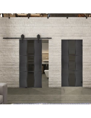 Pendeltür Loft Schwarzeisen Genietet 36 Auf Grauglas