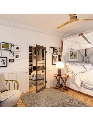 Ganzglastür - Country Altholz Astig Model 22