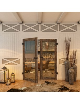 Ganzglastür - Country Altholz Astig Model 22