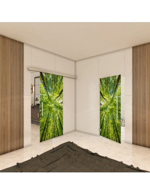 Pendeltür - Fotoprint Model 49 für ein modernes Zuhause